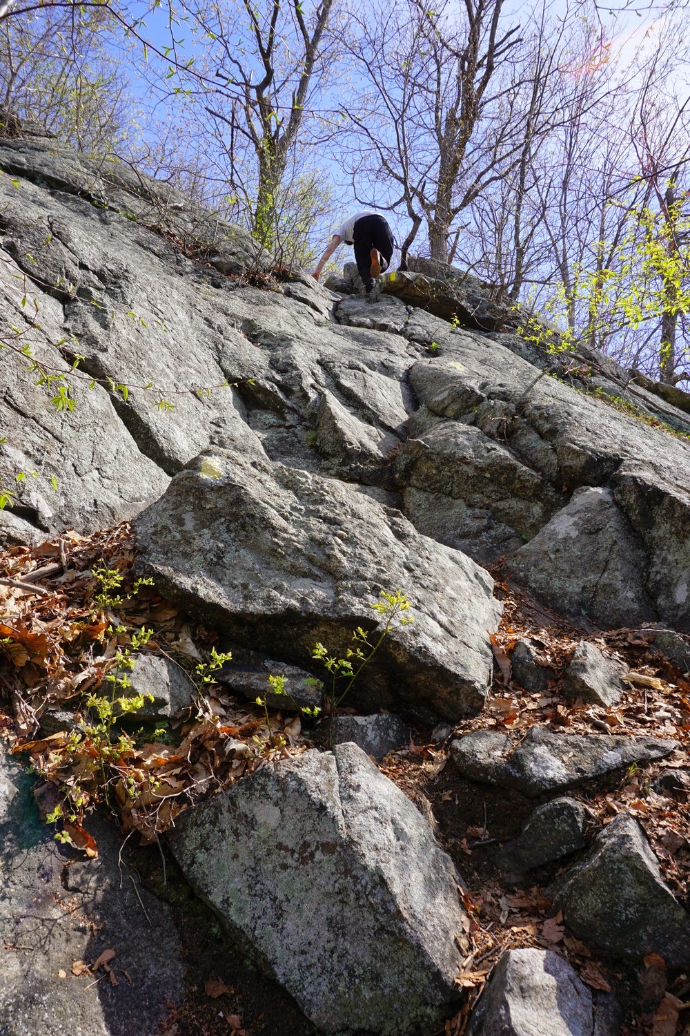 Harriman Hiker Harriman State Park and Beyond Pyngyp Mountain
