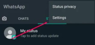 Cara Mengetahui Siapa Yang Melihat Status Anda di WhatsApp