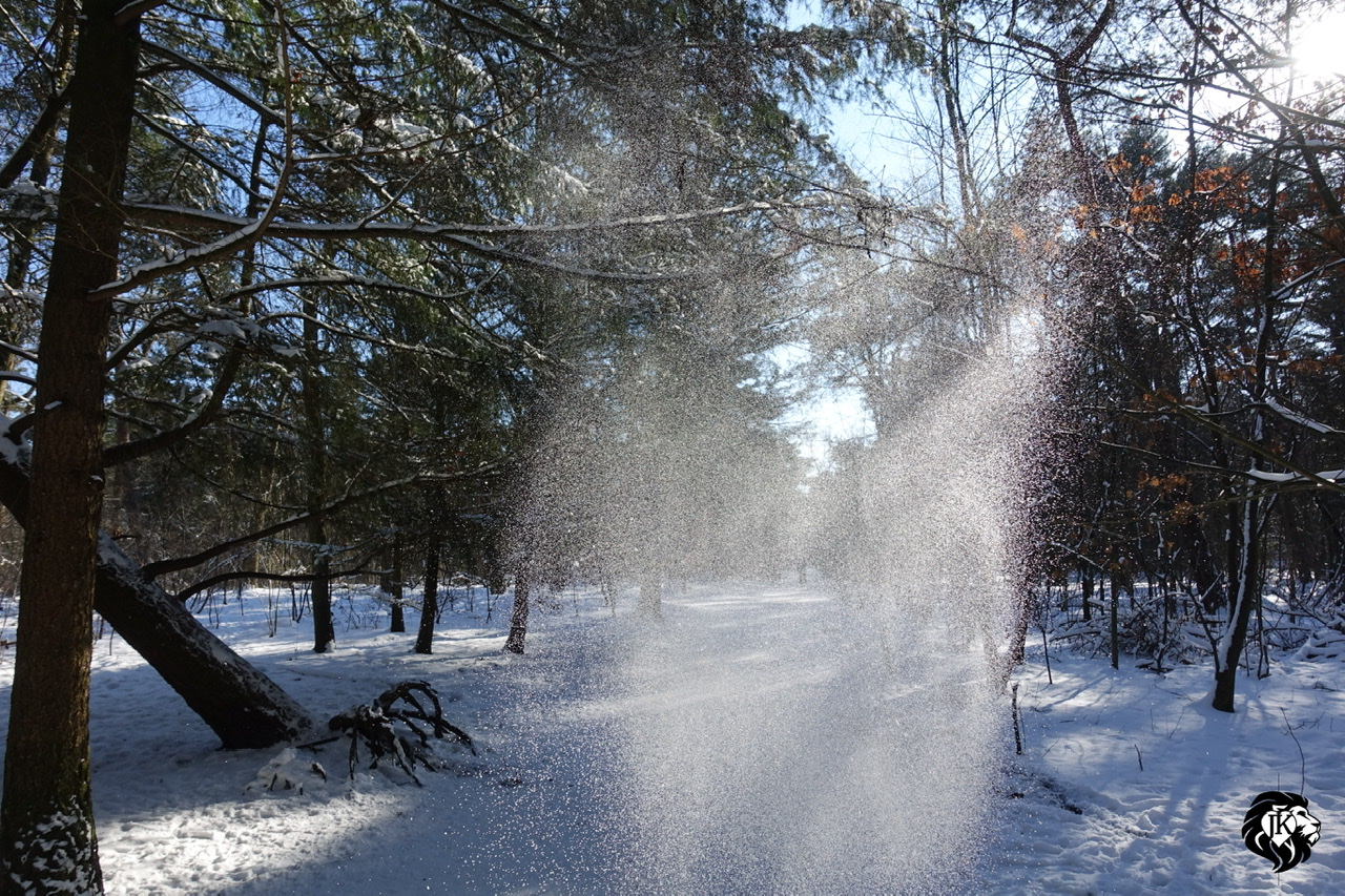 Magical Soul Path Poetry of Light Voyages of Light