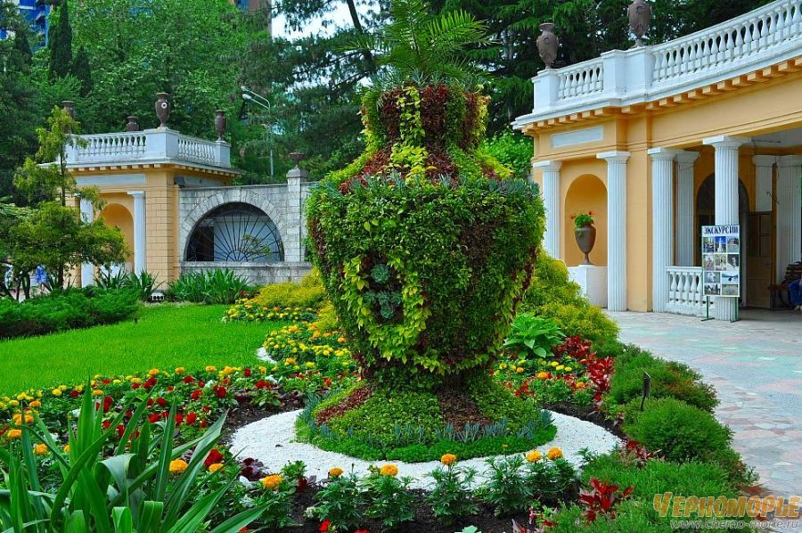 Сады сочи краснодарский край сочи фото