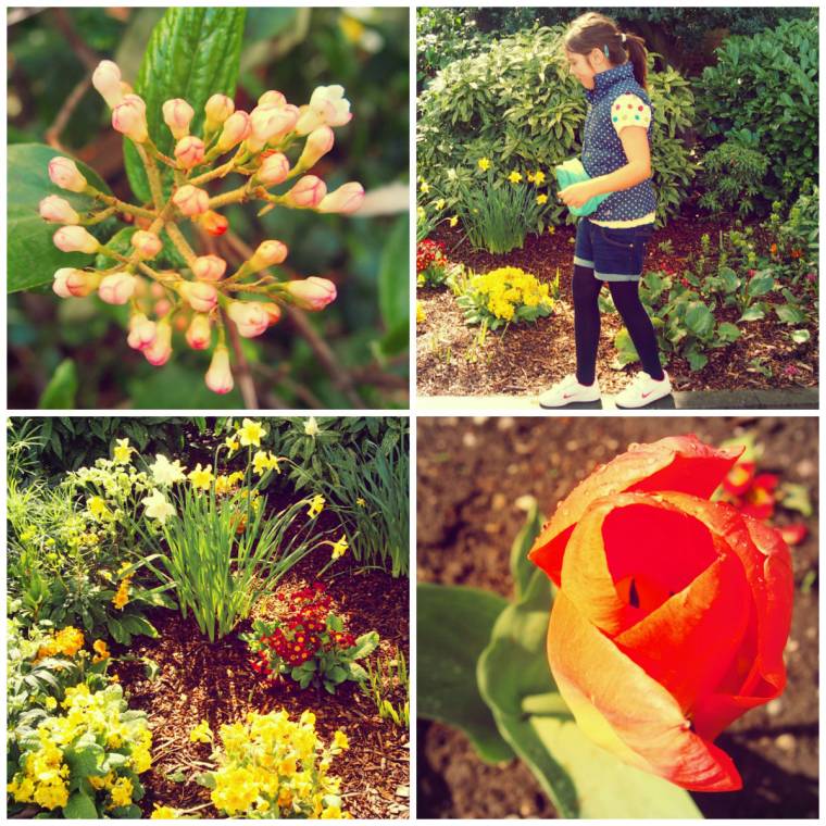 Queen's Park Chesterfield: How Does Your Garden Grow?