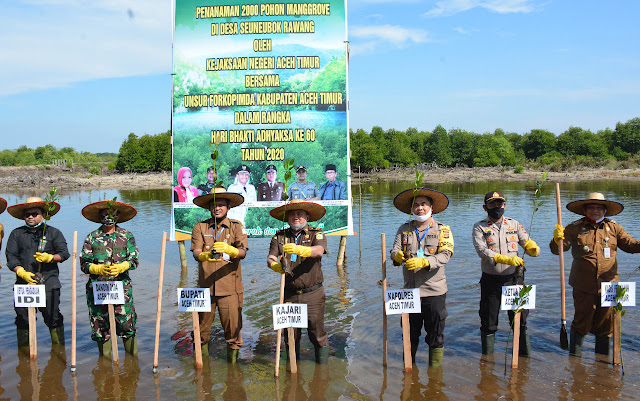 Hari Bhakti Adhyaksa ke-60, Kejari Aceh Timur Tanam 2000 Bibit Manggrove Juli 20, 2020