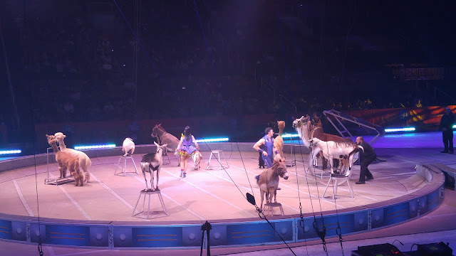 Ringling Bros and Barnum & Bailey Out Of This World circus