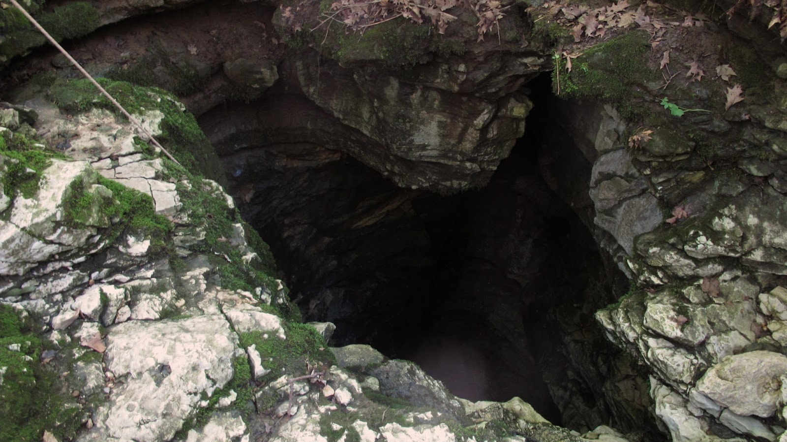 HOOSIER SWALLOW HOLE CAVE CAPERS 2015 ADAM HAYDOCK