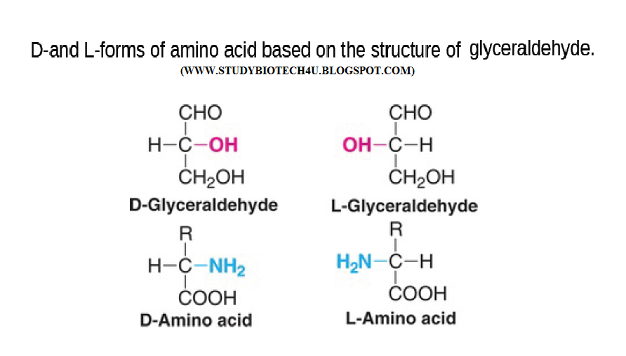 Amino acids and its Classification Online Biotech Notes Online