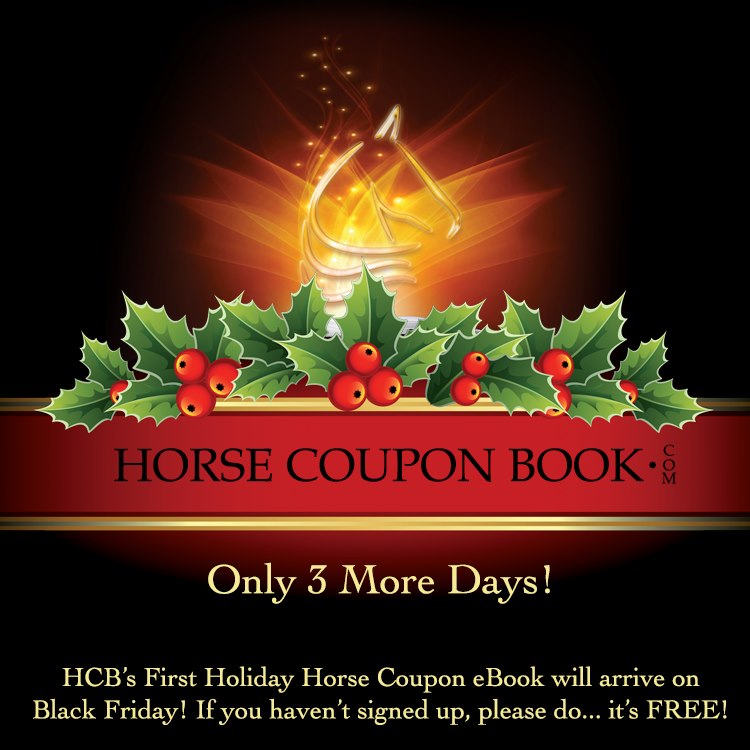 Buckaroo Leather Horse Tack, Use, Care and Maintenance Black Friday