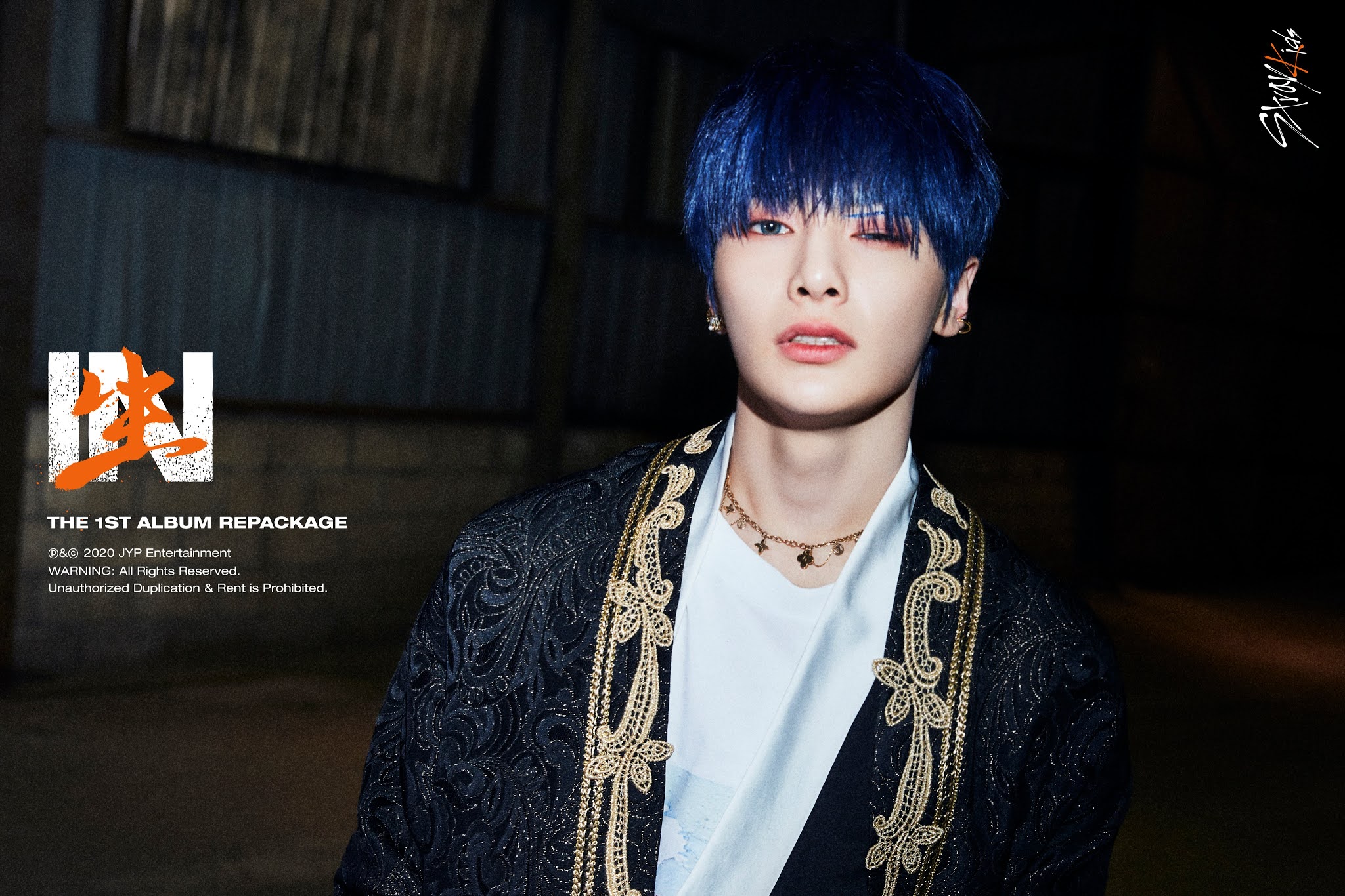 Manga and Anime Maniac: Stray Kids - IN生(IN LIFE)