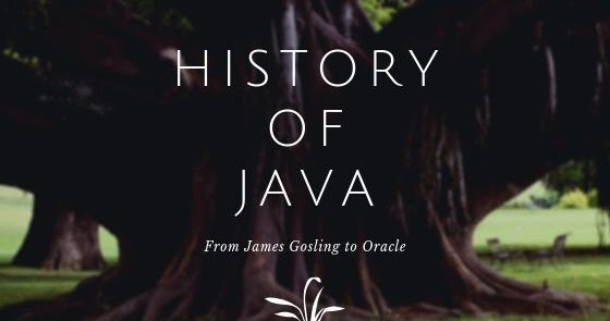 History of Java | You Should Know Everything | My Java Tutorials