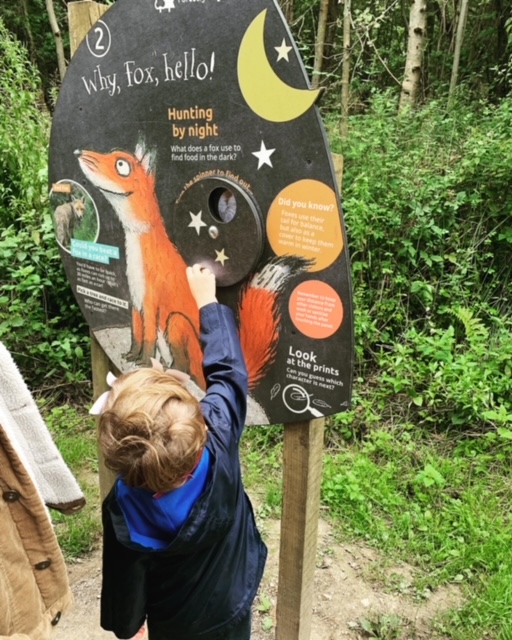 Little boy on The Gruffalo Trail at the fox checkpoint