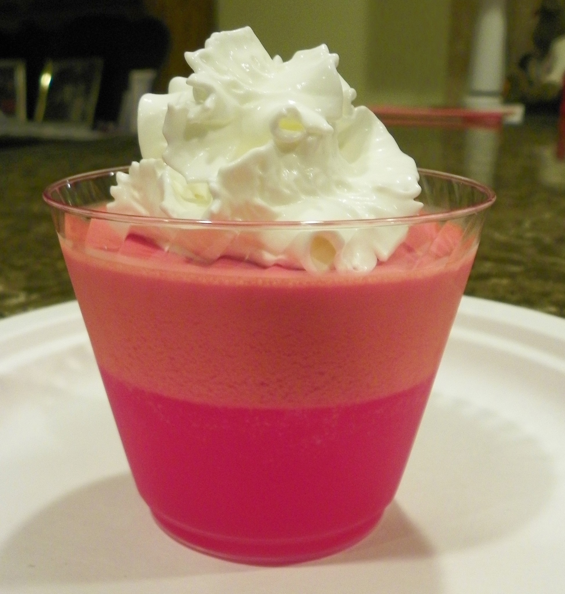 Dukan Diet Primer Keto Jello Dessert