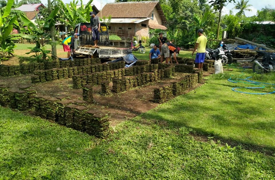 Harga Rumput Jepang Per Meter Persegi 2020 JUAL RUMPUT TAMAN Harga Rumput Jepang Per Meter Persegi 2020 JUAL RUMPUT TAMAN