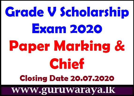 Grade V Exam (Paper Marking & Chief)
