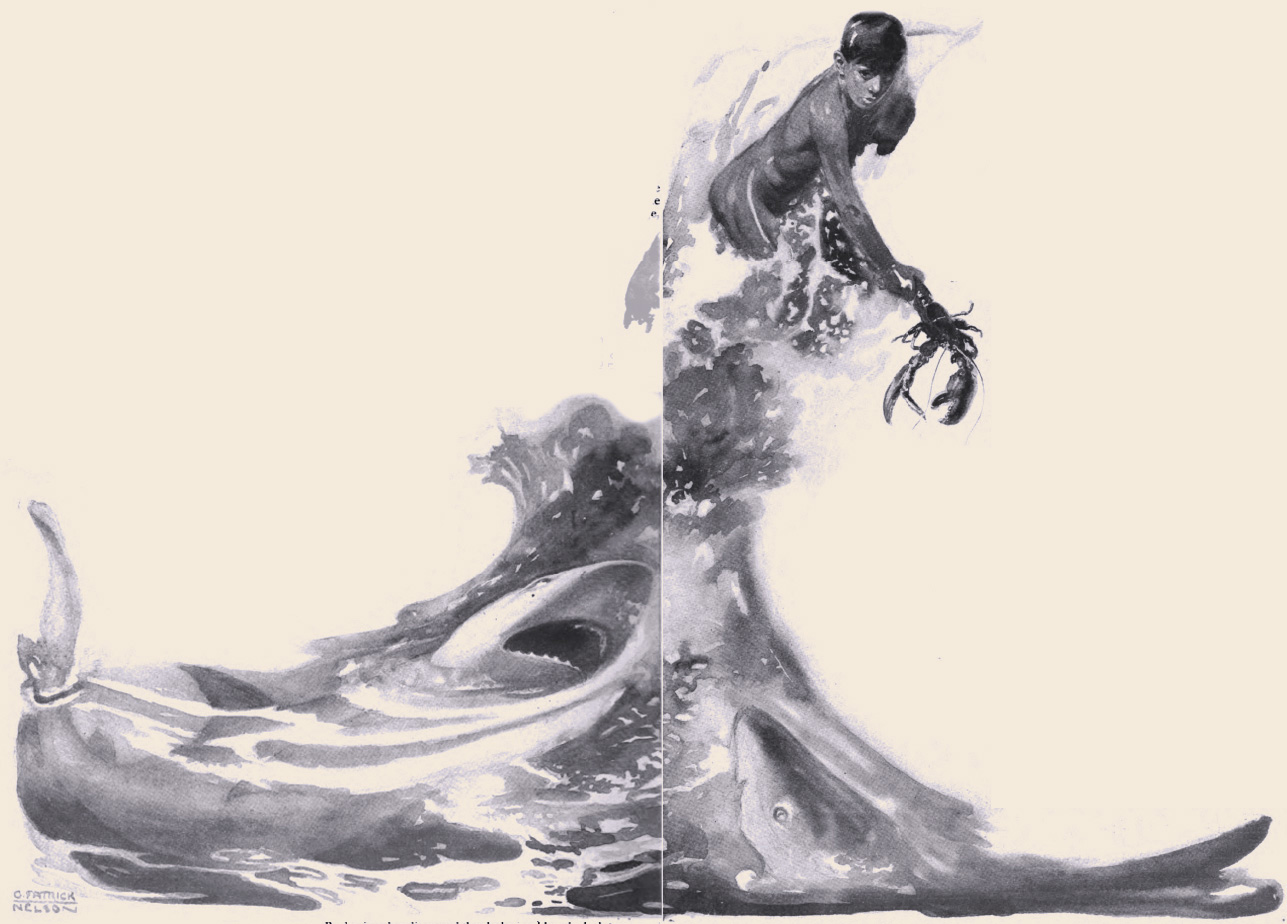 gray water baby