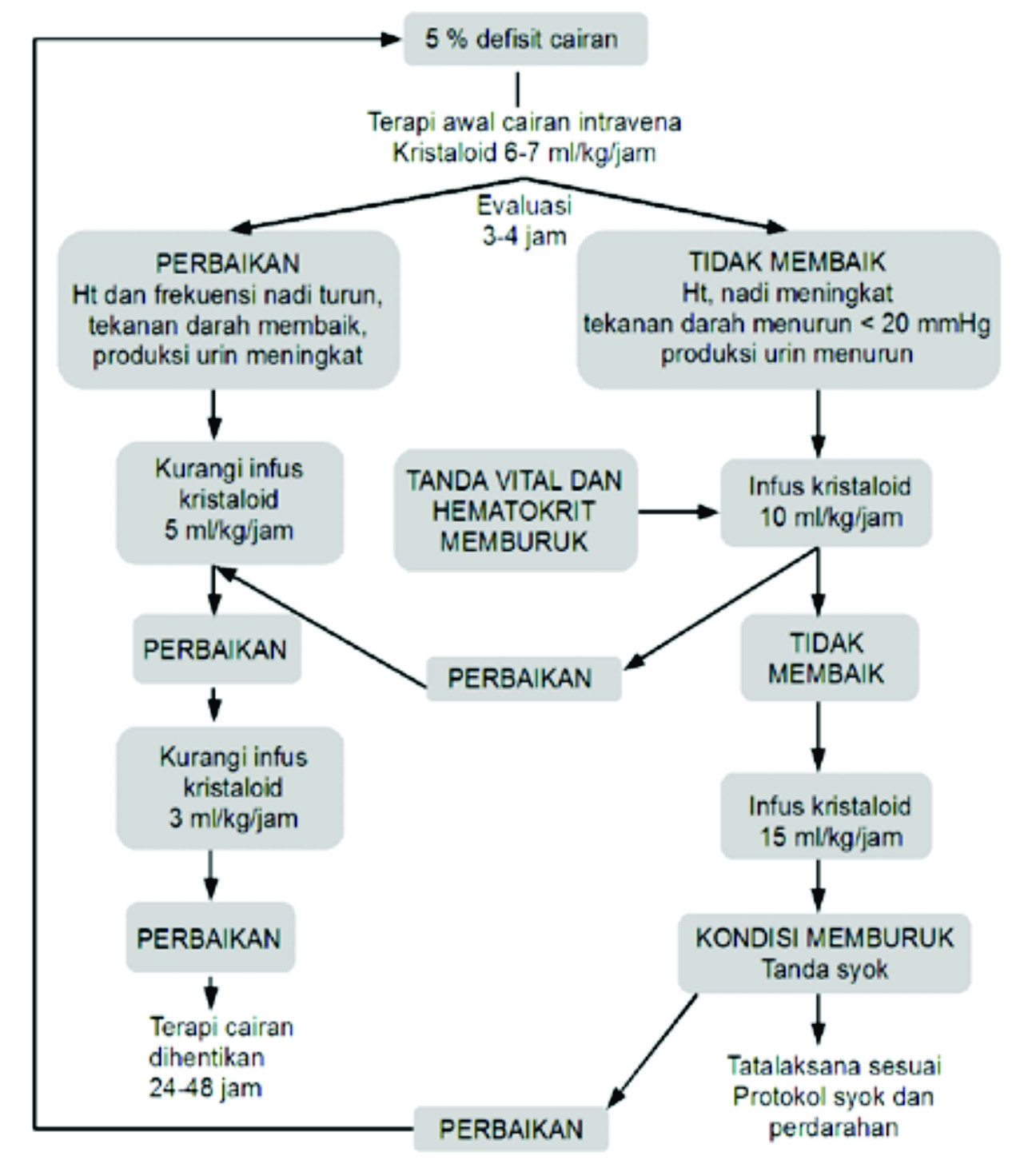 Demam Berdarah Dengue (Dengue Hemorhage Fever)
