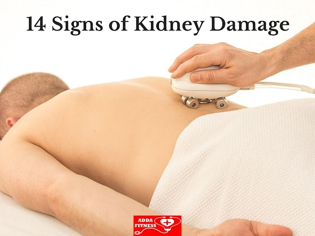 14 Signs of Kidney Damage