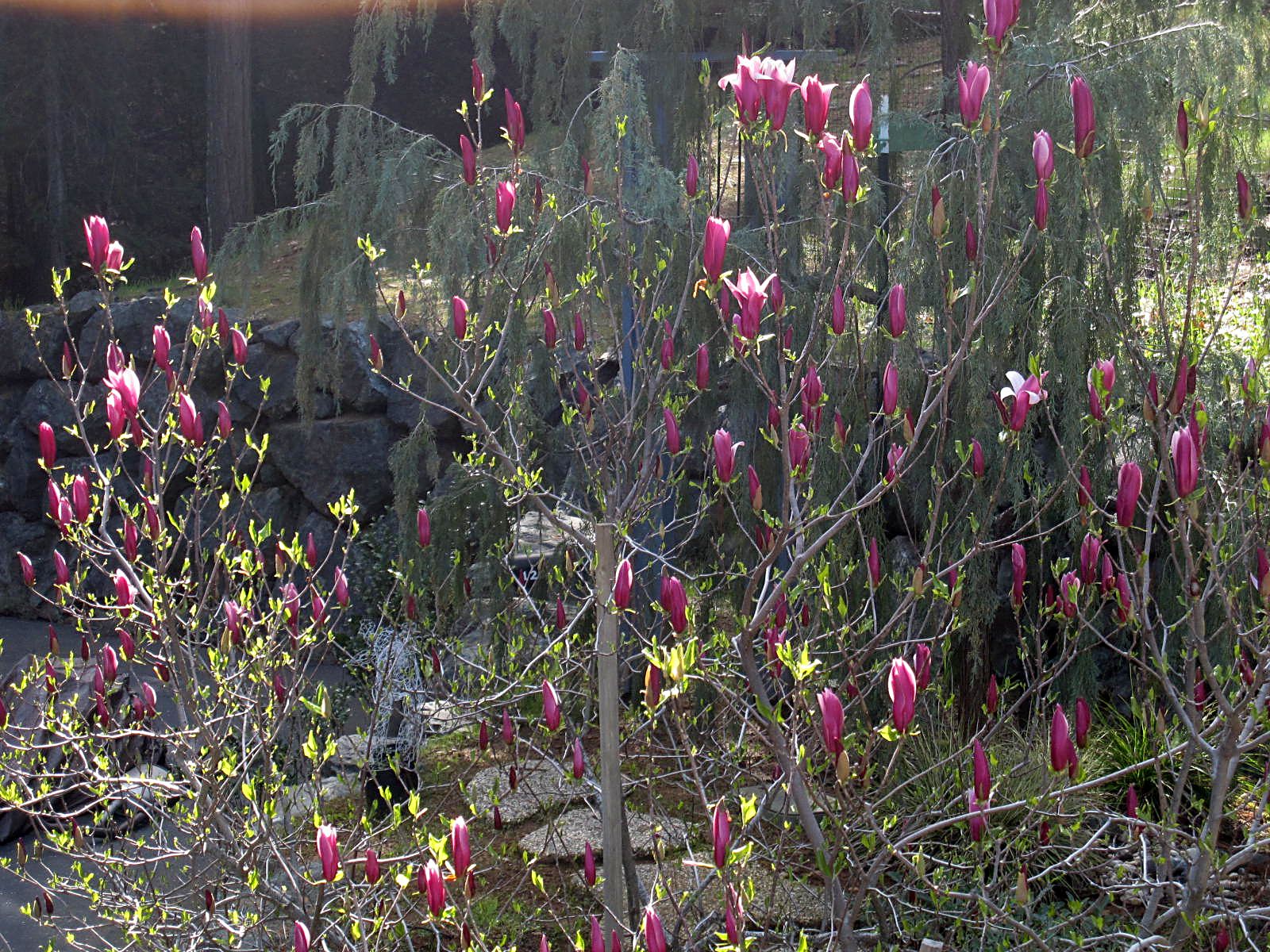 Createology: Spring Once Again...