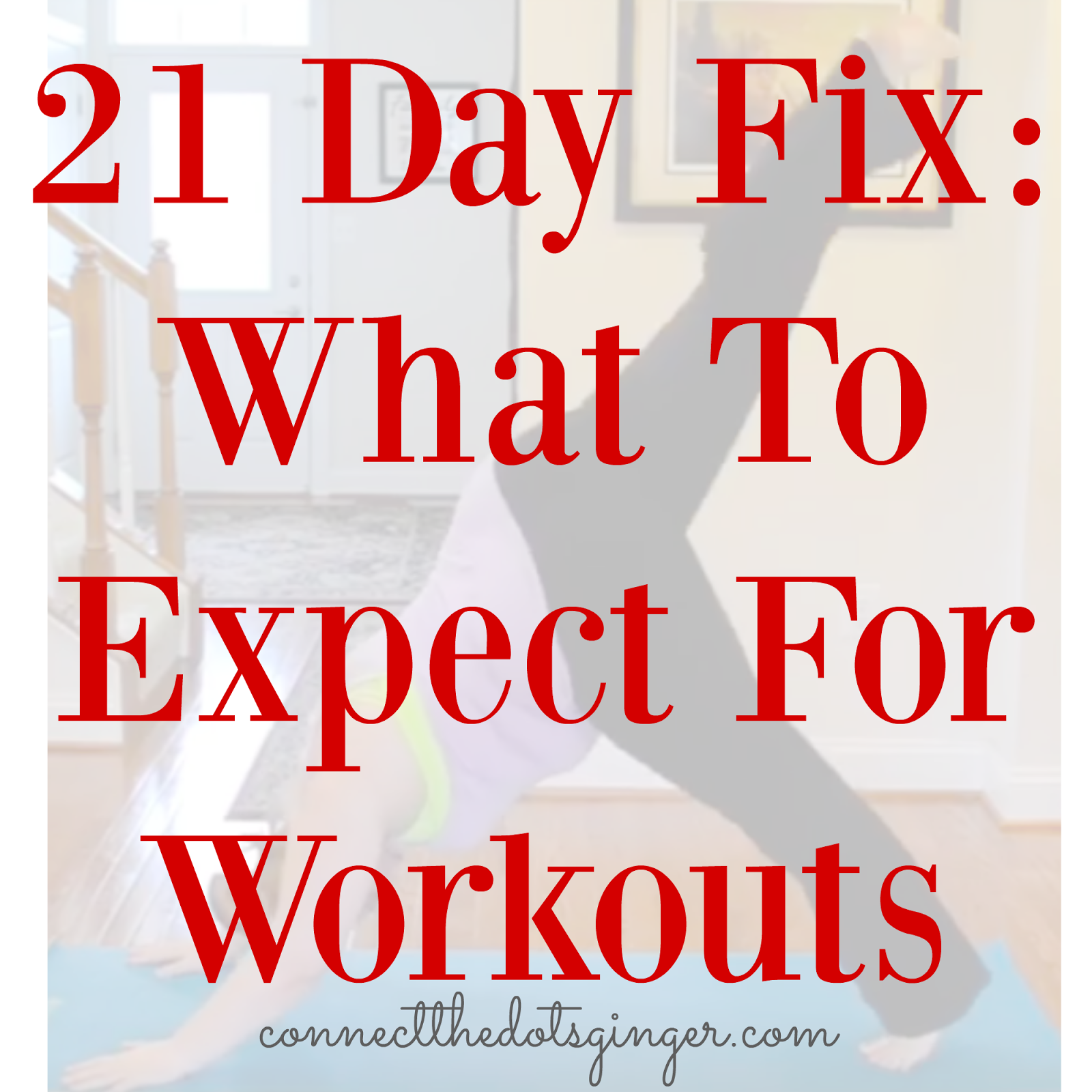 Connect the Dots Ginger | Becky Allen: 21 Day Fix: What To Expect For