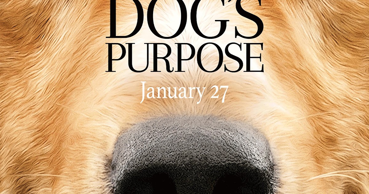 Watch Free Movies Online - mov.onl: A Dog's Purpose