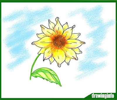 sunflower-drawing-easy