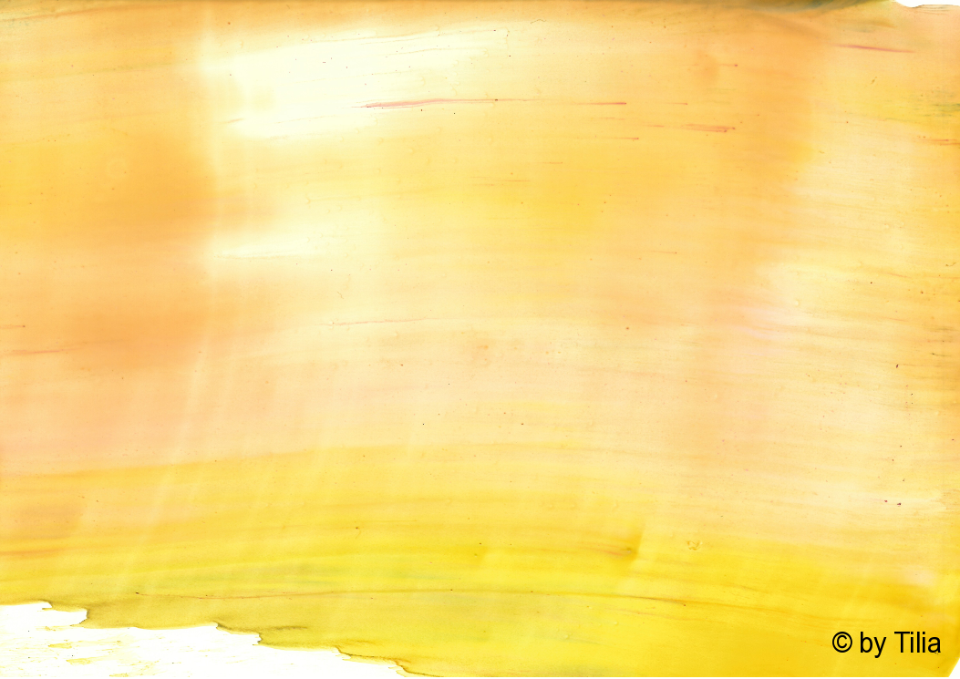 Stein Schutz Pflege Reinigung Gartenbaustoffe 2019