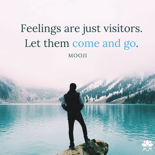 20 Powerful Mindfulness Quotes to Stay Present & Productive. Positive vibes + Wellness & Wellbeing via thenaturalside.com | positive feelings | #mindfulness #wellness #quotes #happy