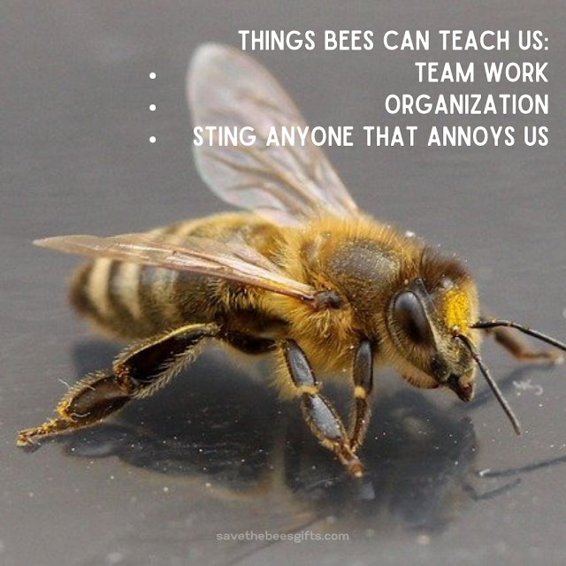 Save Bees Memes