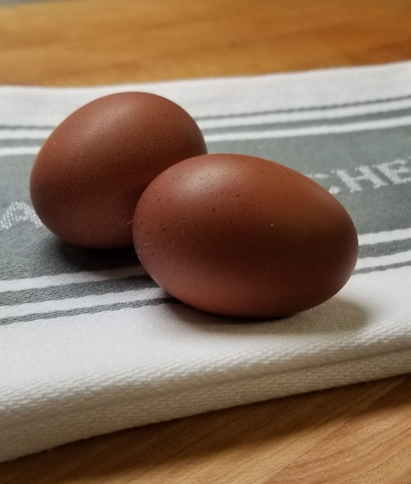 French Marans Chickens Dark Brown Egg Layers Fresh Eggs Daily® with