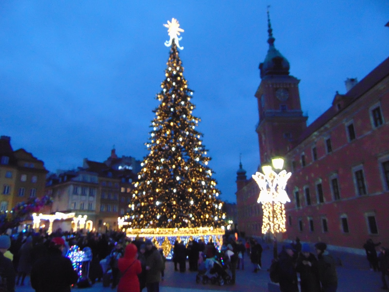 Trees Christmas Tree Old Town Warsaw Poland