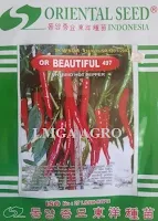 lmga agro, benih cabe, cabe, cabe merah, or beautiful, harga murah, toko online