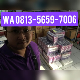 Gresik, Cerme - Dungus Milagros Harga Member Milagros Harga Member Gresik, Cerme - Dungus
