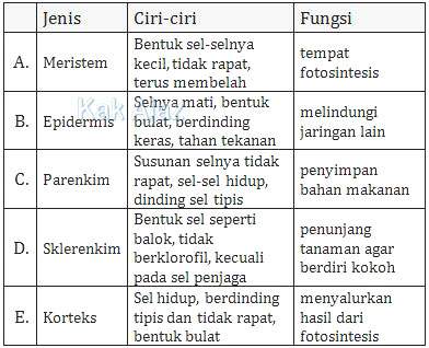 Pasangan yang tepat antara jaringan tumbuhan dan fungsinya adalah