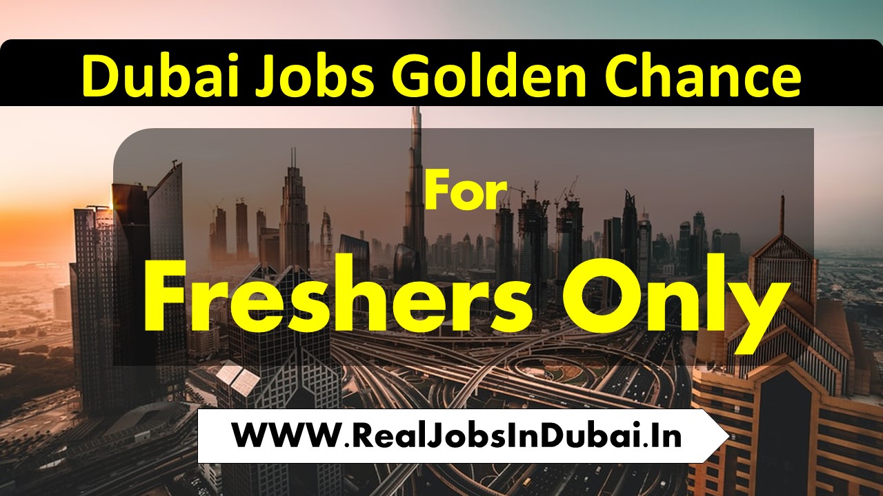 Fresher Jobs In Dubai , Abu Dhabi , Sharjah, & Ajman.