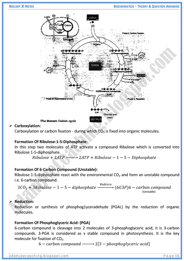 Adamjee Coaching Bioenergetics Descriptive Question Answers Biology 11th