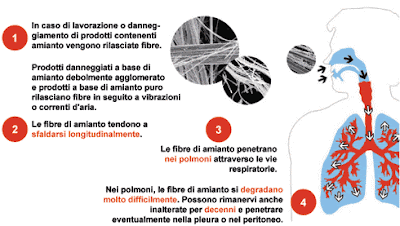 ROMA. Ancora tante parole all'ISS sull'amianto quando progetti concreti?