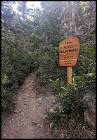 Sign letting you know that this trail is in the Twin Peaks Wilderness Area Sign letting you know that this trail is in the Twin Peaks Wilderness Area