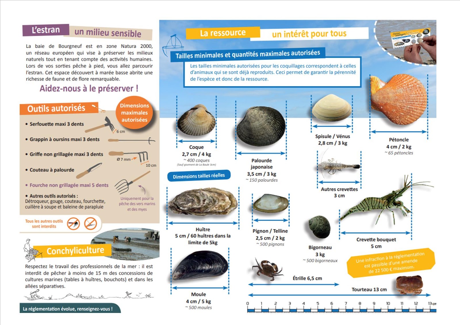La Boite A Peche Noirmoutier Peche A Pied