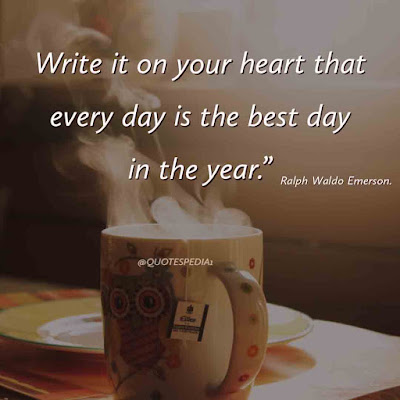 20 Best Motivational Short Quotes & Syaings About Life