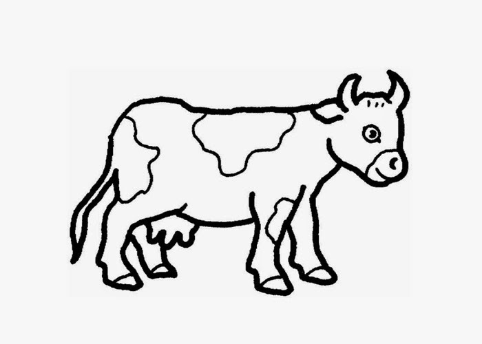 baby cow coloring pages - photo #12