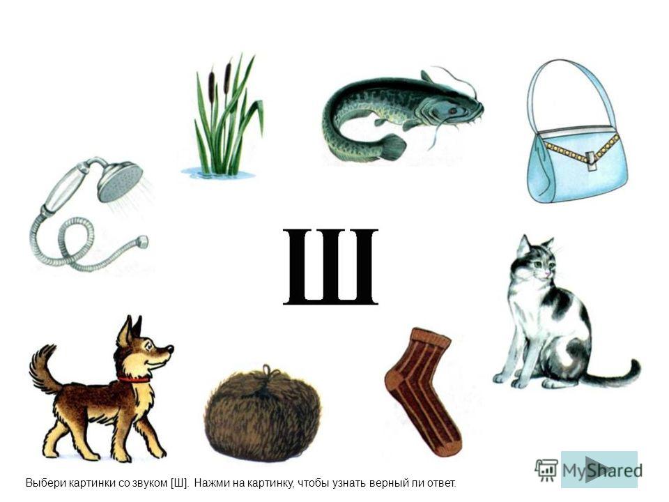Картинки с буквой ш