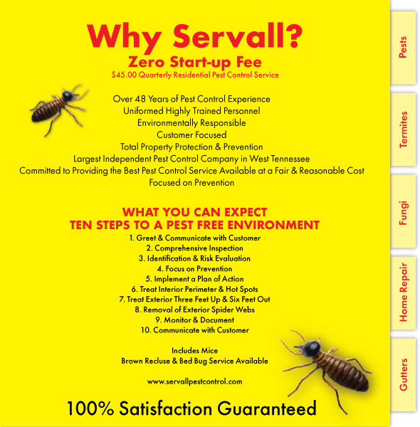 Servall Pest Control Servall on Facebook!