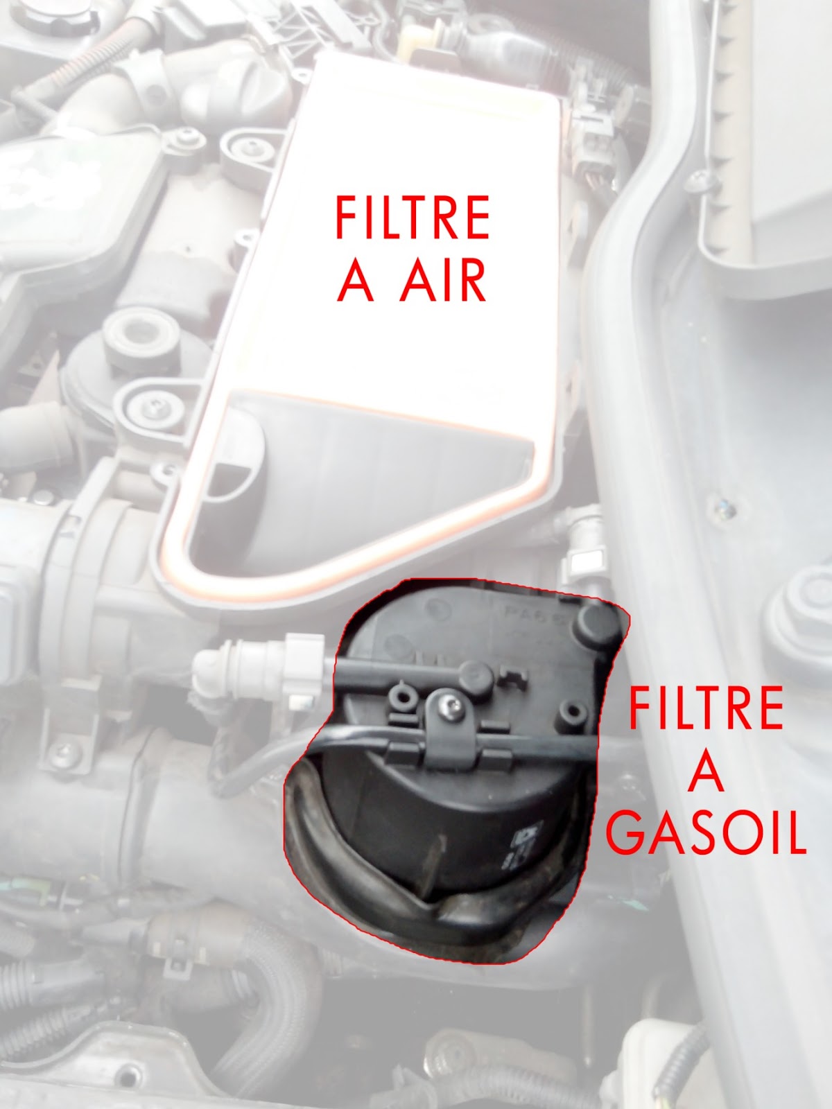 Entretien Hdi Filtre A Gasoil