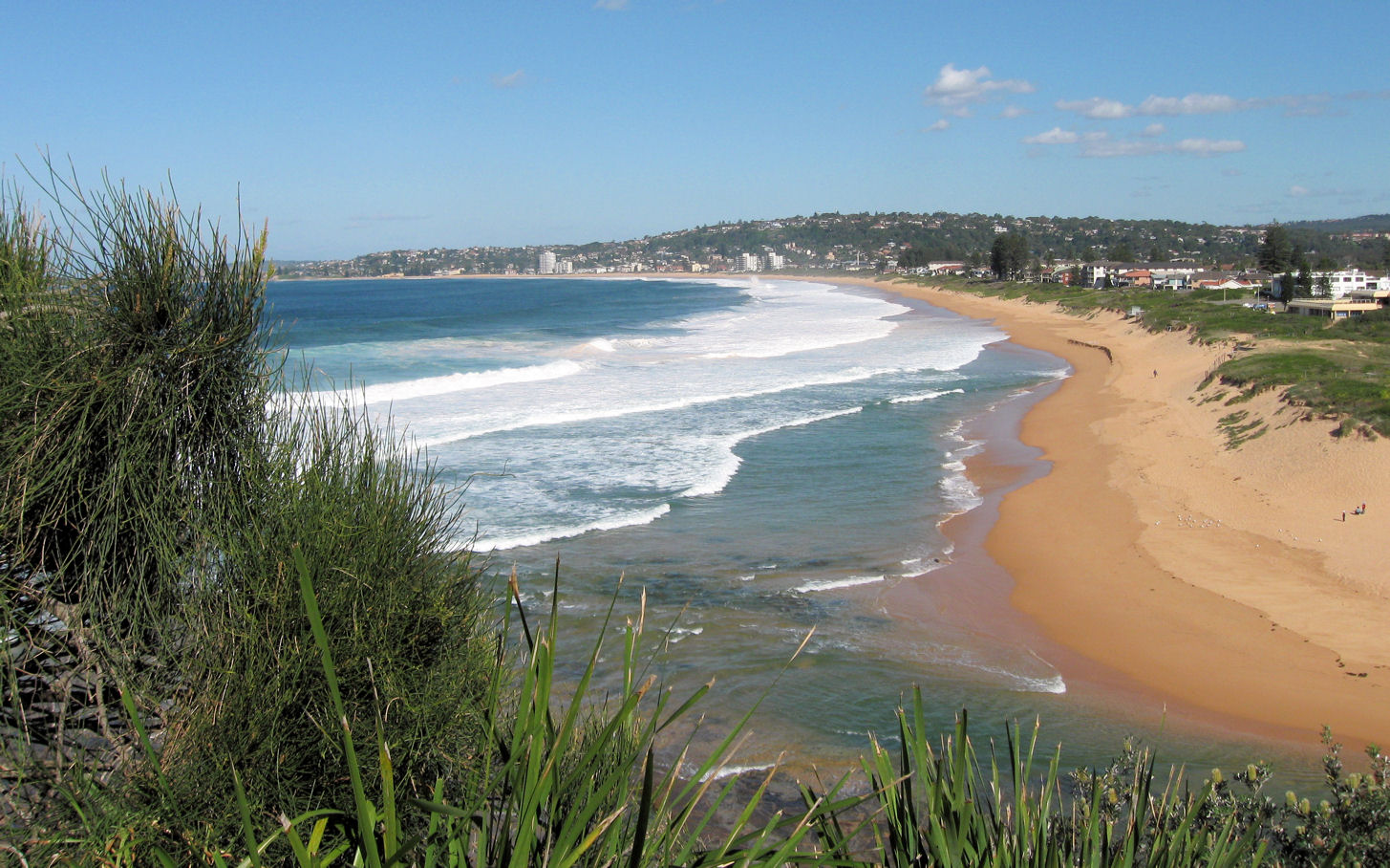 Narrabeen to Mona Vale Headland Our Walks