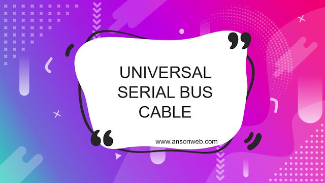 Universal Serial Bus Cable