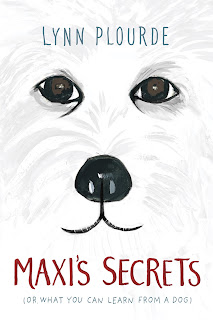 Maxi's Secrets book cover