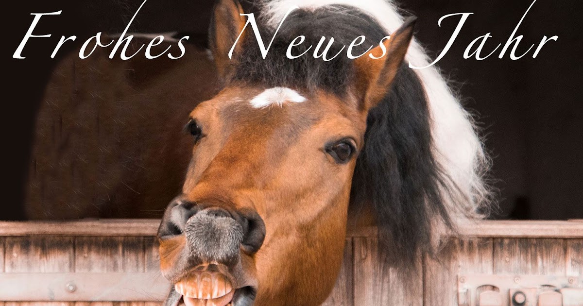 Araber (pferd) bilder auf leinwand & poster bestellen Pferde, unsere stolzen Freunde: Guten Rutsch und alles Gute für das