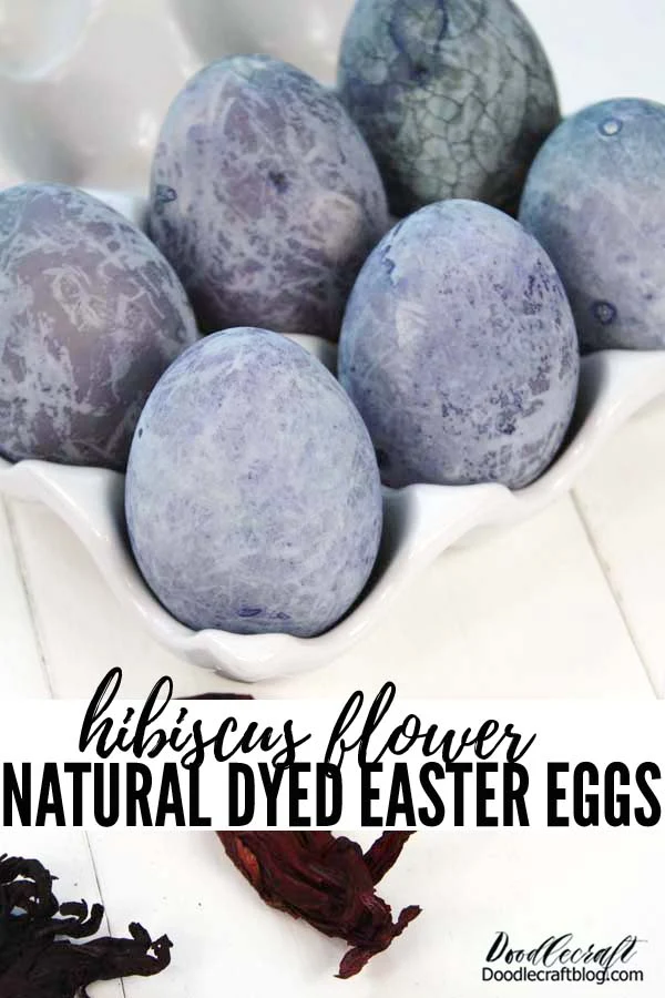 Dye Easter eggs naturally using Hibiscus flower blooms or hibiscus tea. The color will astound you with its deep blueish violet. Great for homeschool science arts and crafts.