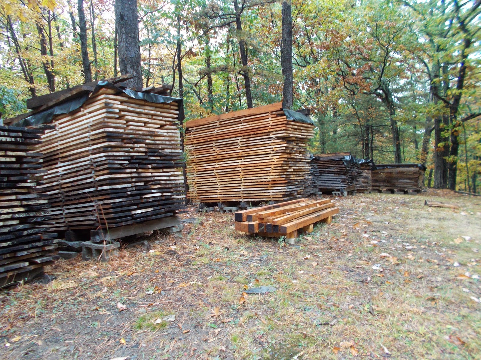 Out of the Woodwork Drying Out