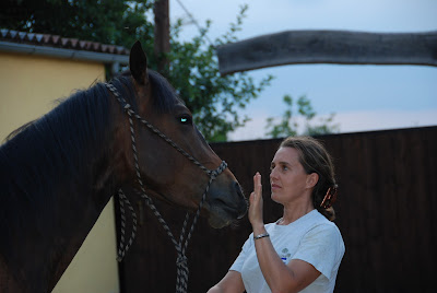 Equitazione E Bambini Passione Cavallo Famiglia Tuttofare