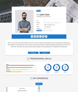 Sora CV Blogger Template