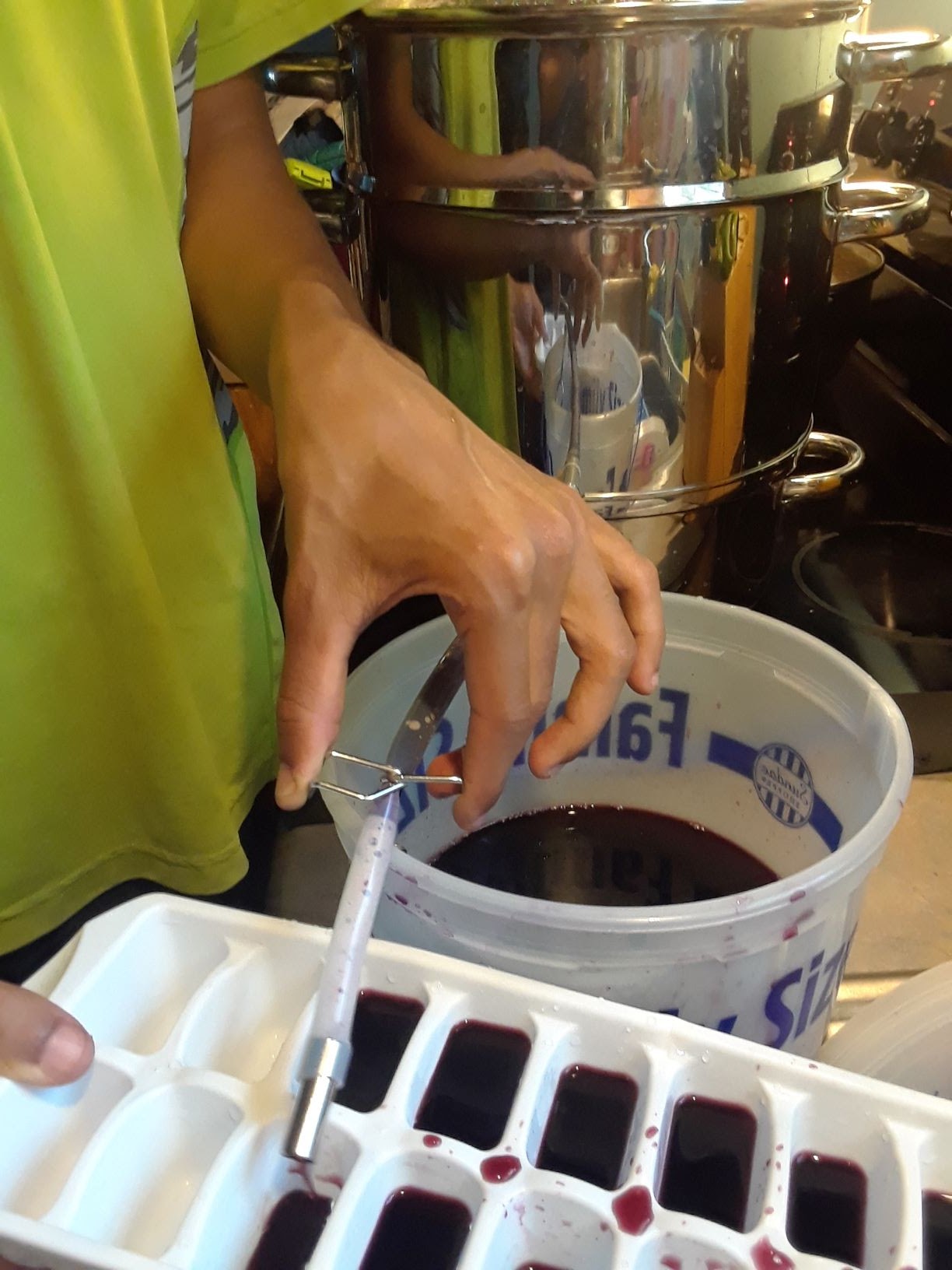 How To Make Elderberry Juice